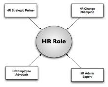HR Function Role in Organization