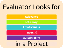 Evaluator Requirements in Project